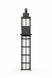 Chain-driven vertical goods lift